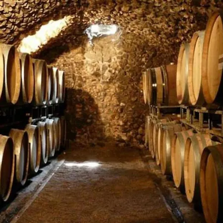 Сasa de vacaciones Charming Typical Stone House With Modern Amenities Chauzon